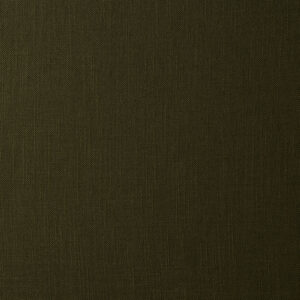 Lino Olive