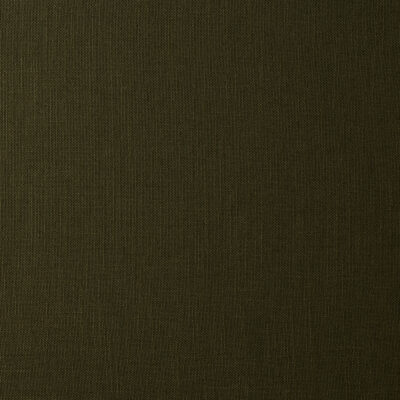 Lino Olive