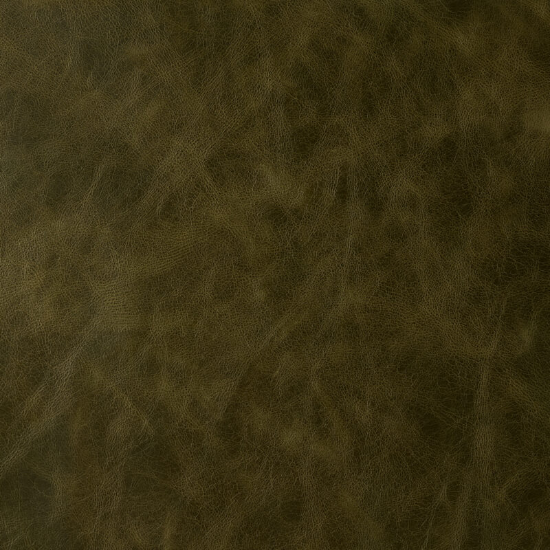 Photo of Vaquero Olive