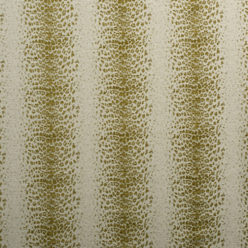 Photo of Duma Kiwi